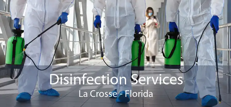 Disinfection Services La Crosse - Florida