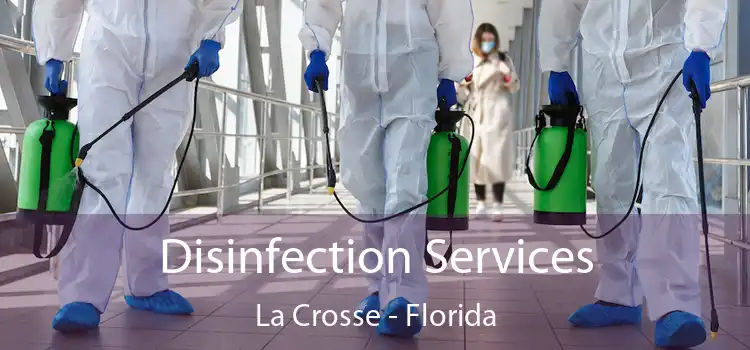 Disinfection Services La Crosse - Florida