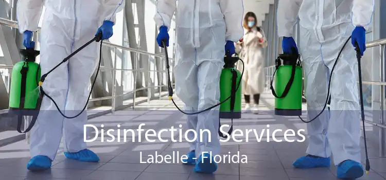 Disinfection Services Labelle - Florida
