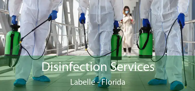 Disinfection Services Labelle - Florida