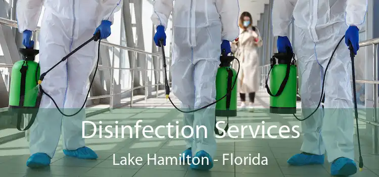 Disinfection Services Lake Hamilton - Florida