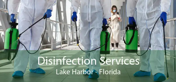 Disinfection Services Lake Harbor - Florida