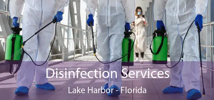 Disinfection Services Lake Harbor - Florida