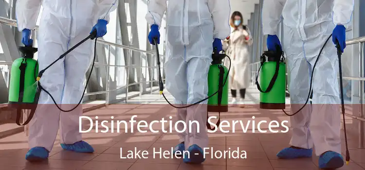 Disinfection Services Lake Helen - Florida