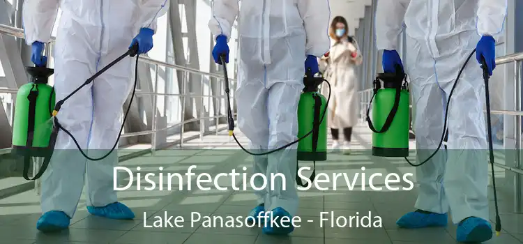 Disinfection Services Lake Panasoffkee - Florida