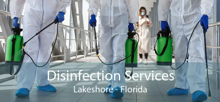 Disinfection Services Lakeshore - Florida