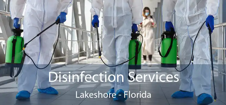 Disinfection Services Lakeshore - Florida