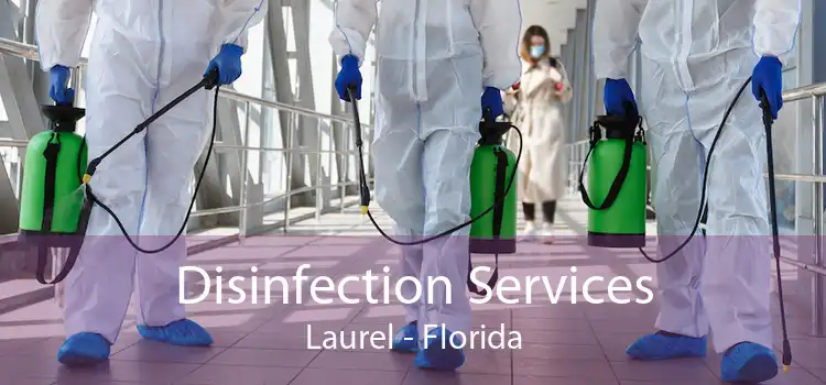 Disinfection Services Laurel - Florida