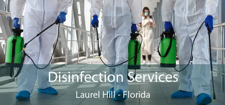 Disinfection Services Laurel Hill - Florida