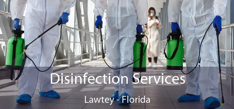 Disinfection Services Lawtey - Florida