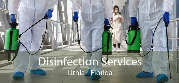 Disinfection Services Lithia - Florida