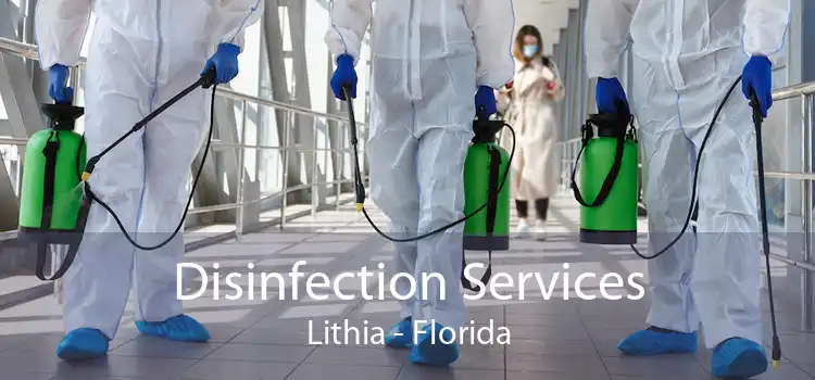 Disinfection Services Lithia - Florida