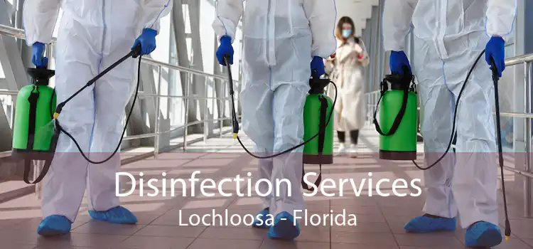 Disinfection Services Lochloosa - Florida