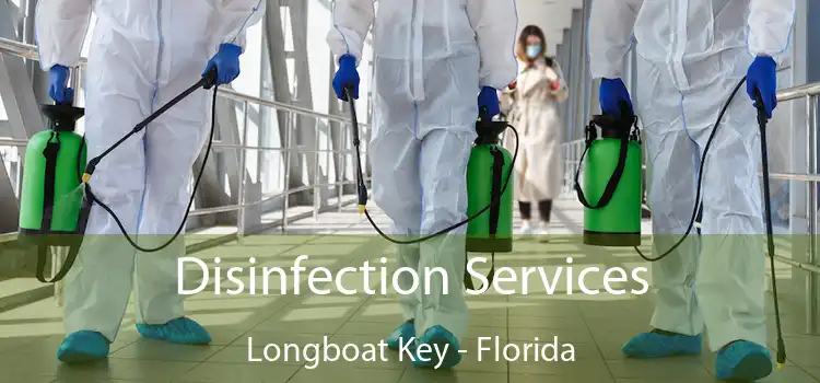 Disinfection Services Longboat Key - Florida