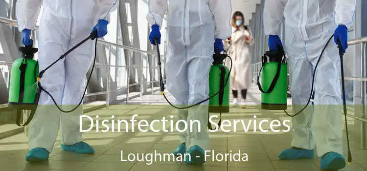 Disinfection Services Loughman - Florida