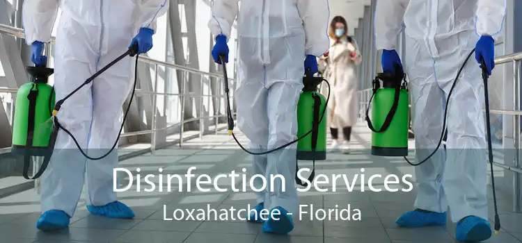 Disinfection Services Loxahatchee - Florida