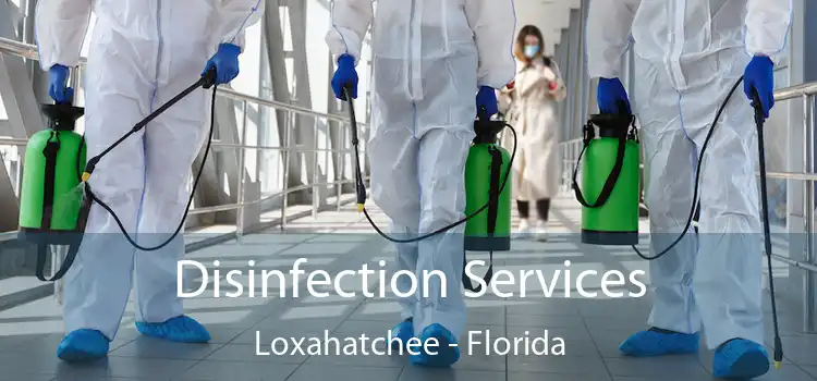 Disinfection Services Loxahatchee - Florida