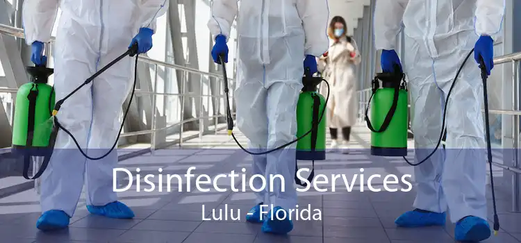 Disinfection Services Lulu - Florida