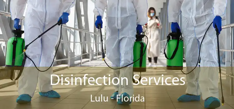 Disinfection Services Lulu - Florida