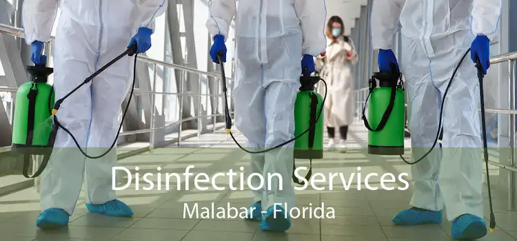 Disinfection Services Malabar - Florida