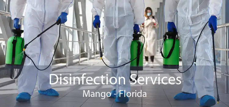 Disinfection Services Mango - Florida