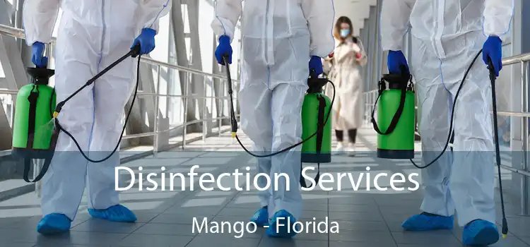 Disinfection Services Mango - Florida