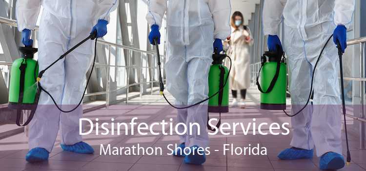 Disinfection Services Marathon Shores - Florida