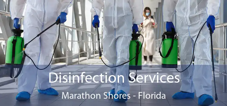 Disinfection Services Marathon Shores - Florida