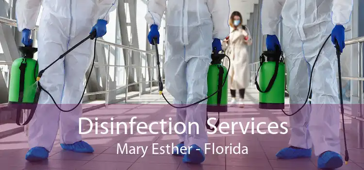 Disinfection Services Mary Esther - Florida