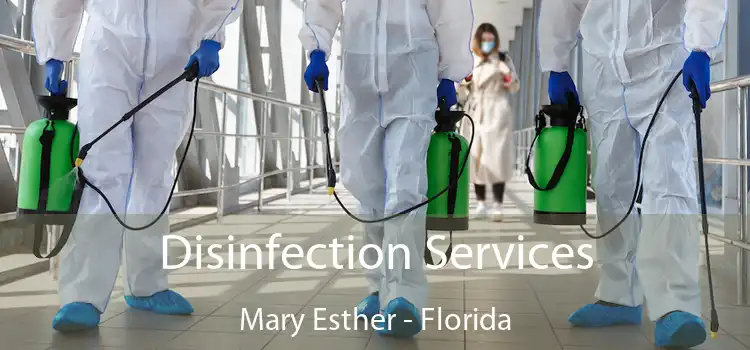 Disinfection Services Mary Esther - Florida