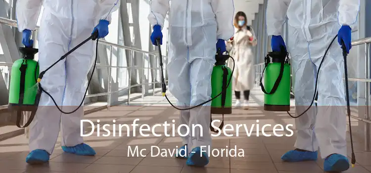 Disinfection Services Mc David - Florida