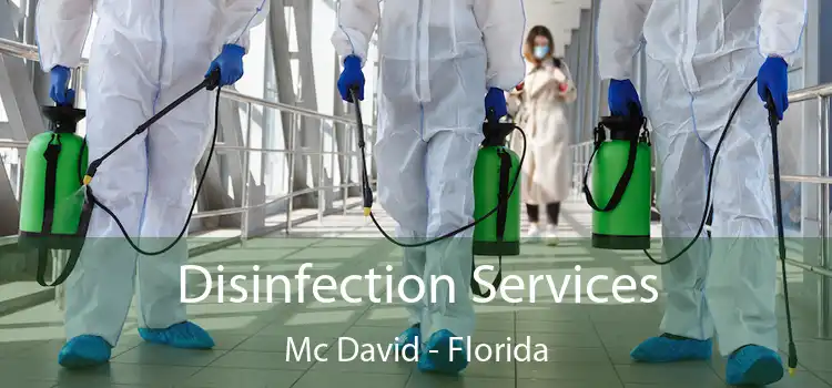 Disinfection Services Mc David - Florida