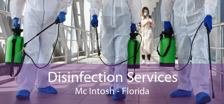 Disinfection Services Mc Intosh - Florida