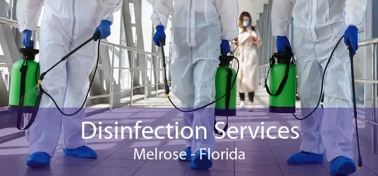 Disinfection Services Melrose - Florida