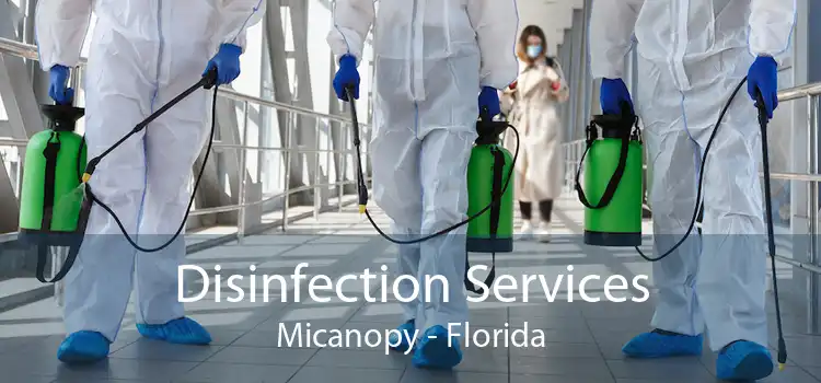 Disinfection Services Micanopy - Florida
