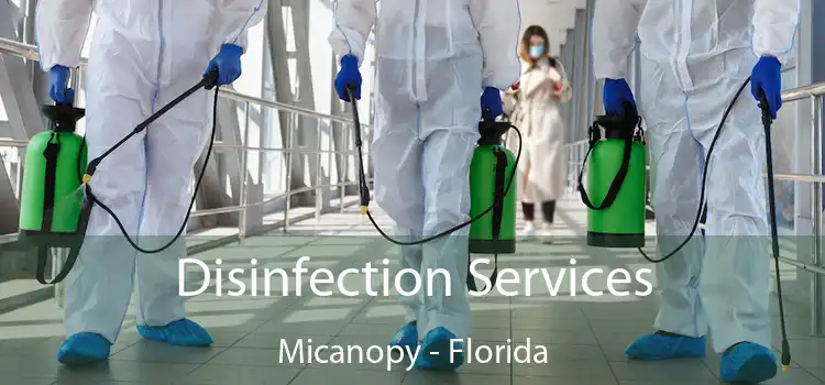 Disinfection Services Micanopy - Florida