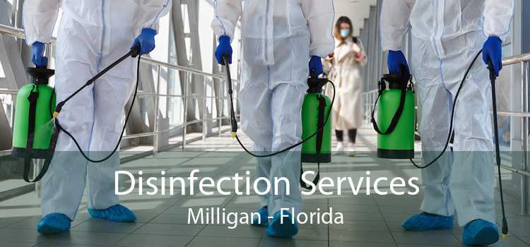 Disinfection Services Milligan - Florida