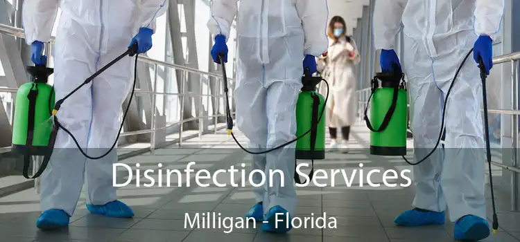 Disinfection Services Milligan - Florida