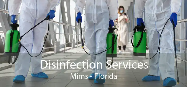 Disinfection Services Mims - Florida