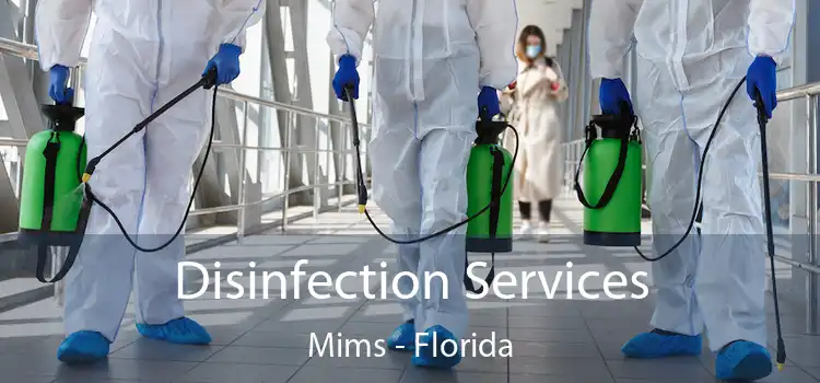 Disinfection Services Mims - Florida