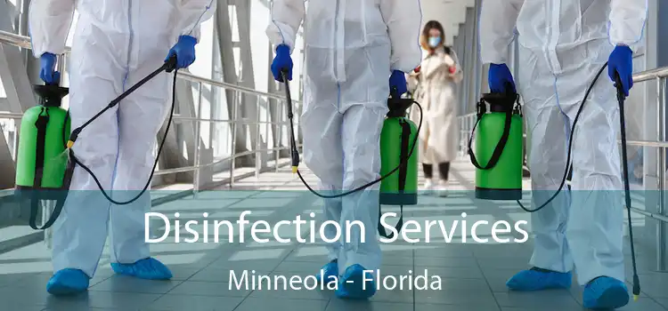 Disinfection Services Minneola - Florida