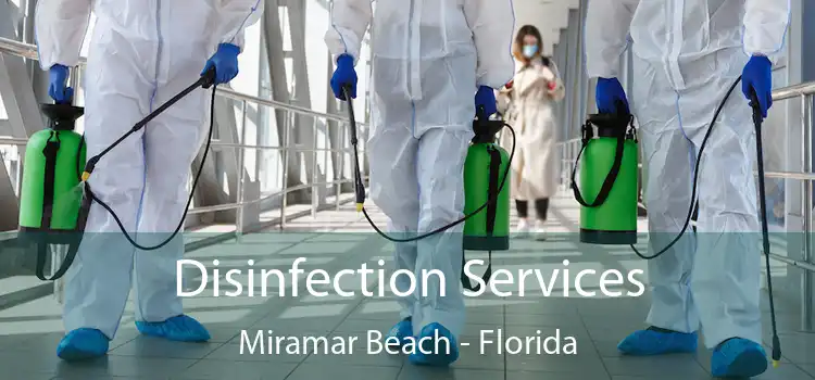 Disinfection Services Miramar Beach - Florida