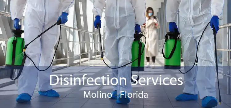 Disinfection Services Molino - Florida