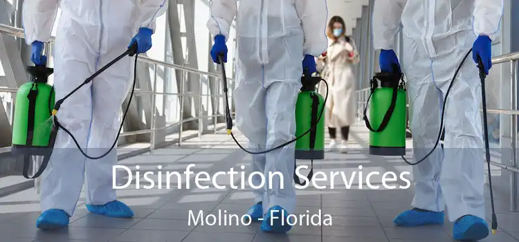 Disinfection Services Molino - Florida