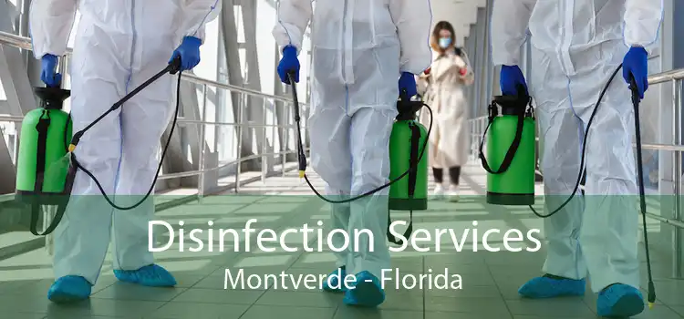 Disinfection Services Montverde - Florida