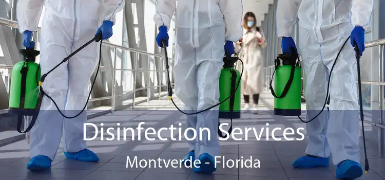 Disinfection Services Montverde - Florida