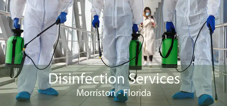 Disinfection Services Morriston - Florida