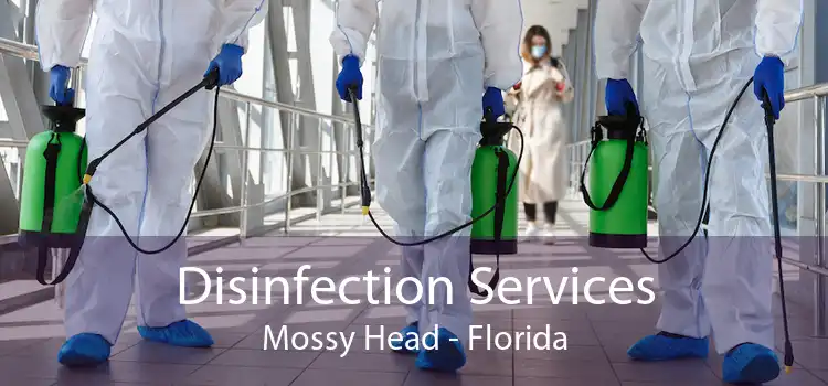 Disinfection Services Mossy Head - Florida