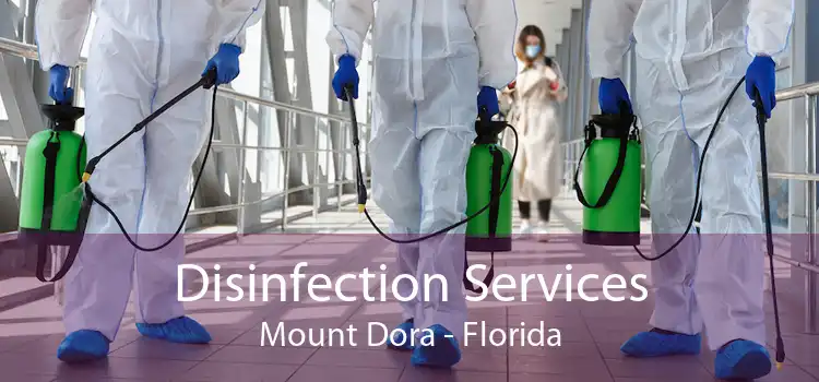 Disinfection Services Mount Dora - Florida