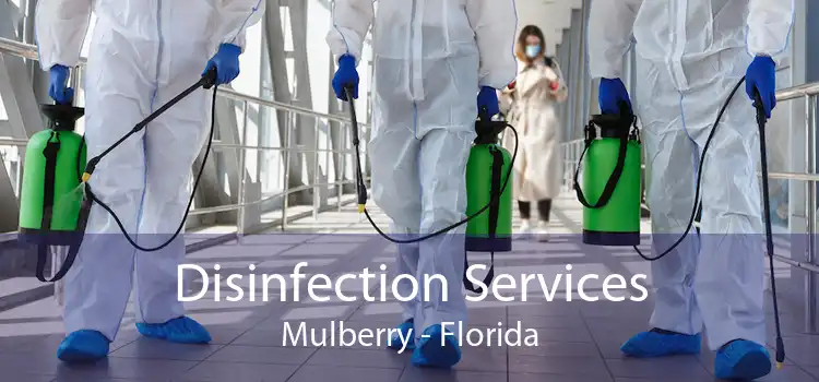 Disinfection Services Mulberry - Florida